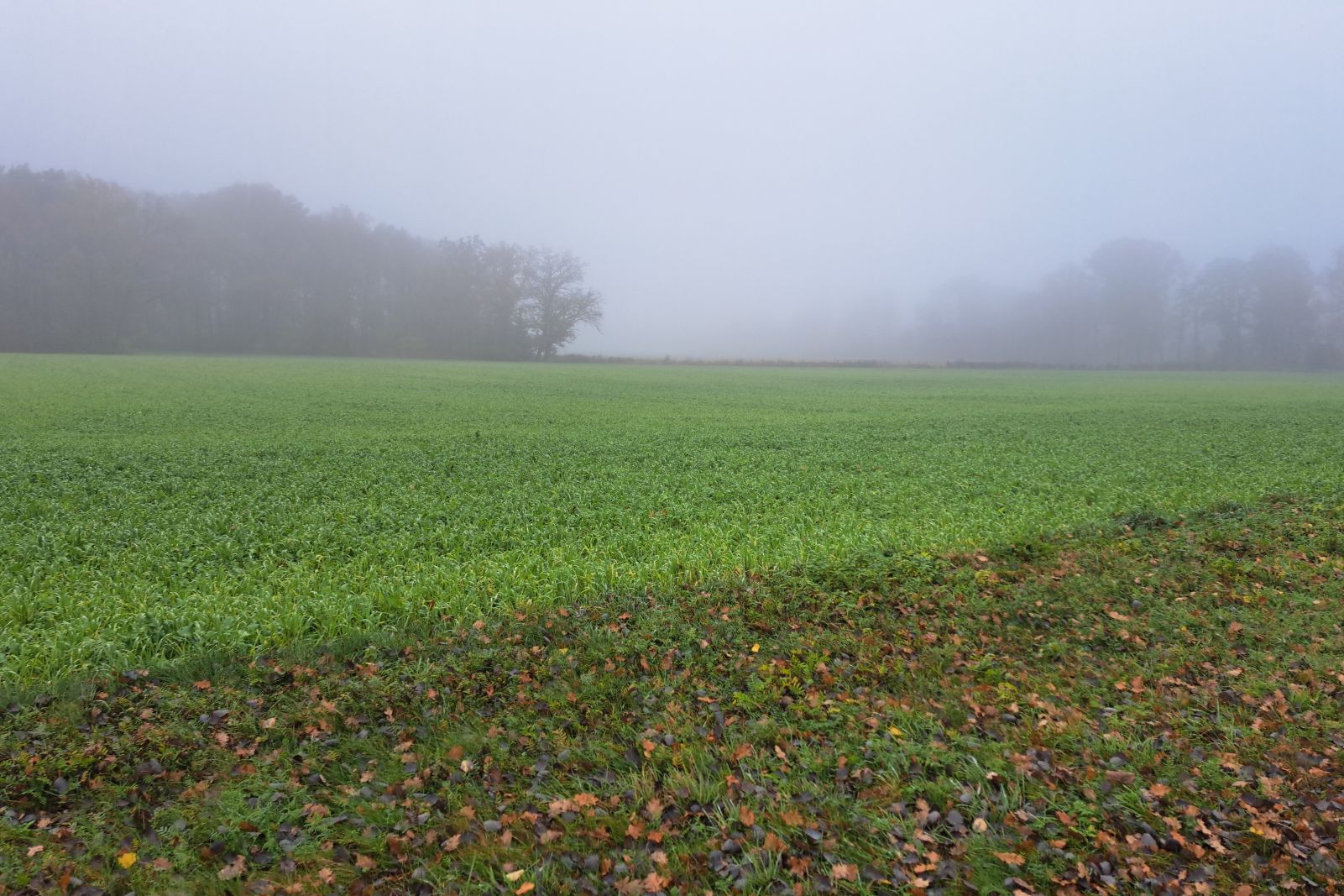 Wo Schatten leiser werden